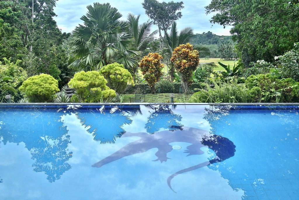 Lazy Lizard Hotel Galle Eksteriør billede