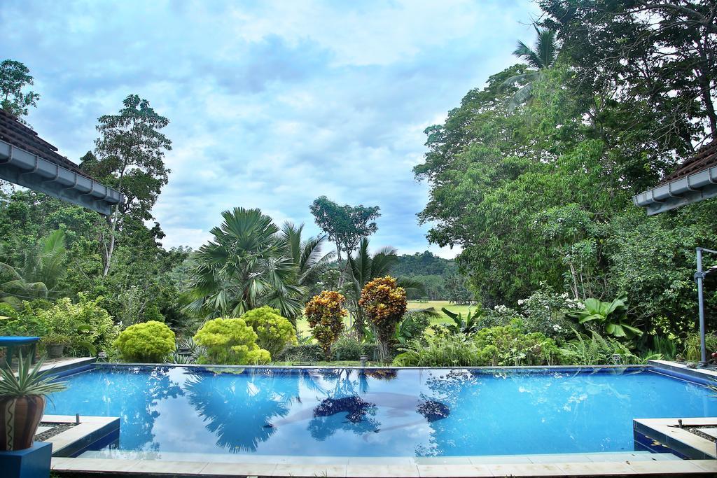 Lazy Lizard Hotel Galle Eksteriør billede